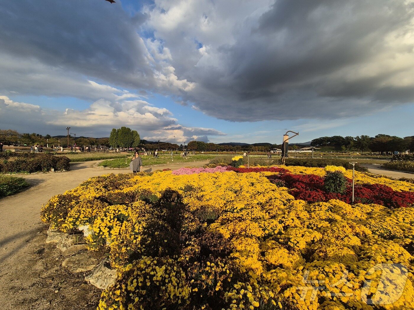 본문 이미지 - 오는 27일부터 11월 1일까지 열리는 ‘2025 아시아태평양경제협력체(APEC) 정상회의’를 앞두고 세계유산 경주역사유적지구에 있는 첨성대 일원은 문화예술 첨담기술이 융합된 축제장으로 변모했다. ⓒ News1 김대벽기자
