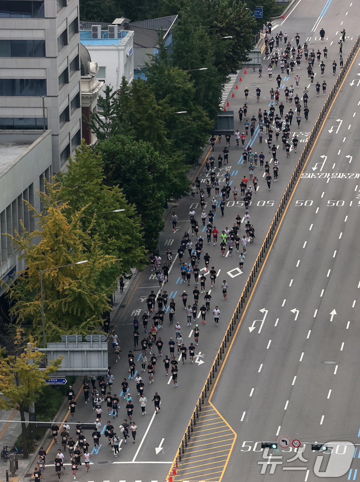 (서울=뉴스1) 박세연 기자 = 26일 서울 중구 남대문로에서 '2025 아시아 오픈 마라톤' 참가자들이 힘차게 달리고 있다.이번대회는 광화문광장을 출발해 하프와 10km 두부문으 …