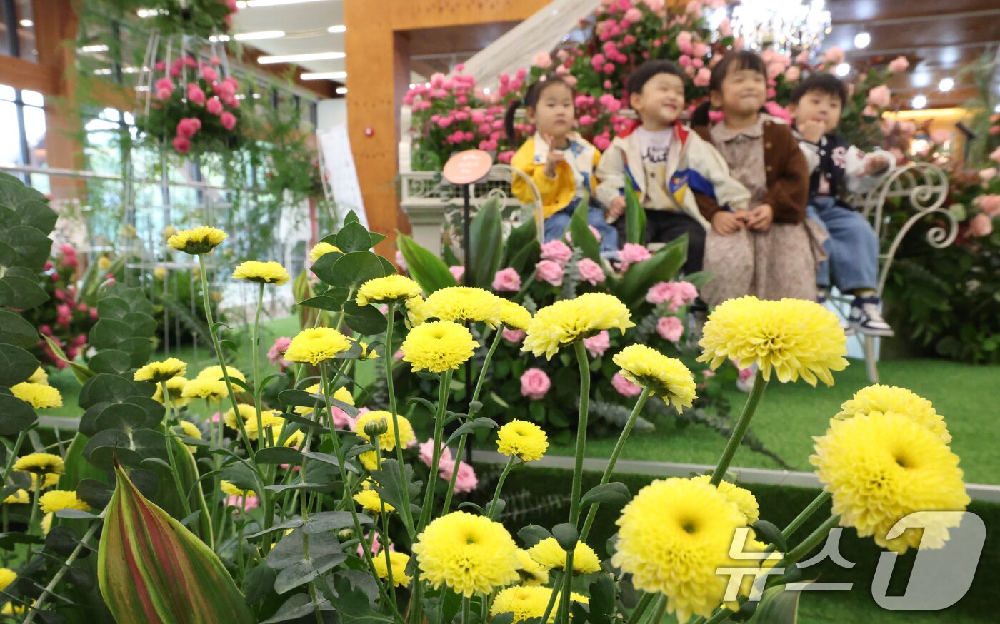 본문 이미지 - 26일 경기 수원시 영통구 영흥수목원에서 열린 ‘제12회 장미·국화 생생전시회’에서 아이들이 다양한 국화와 장미를 보며 가을 정취를 느끼고 있다. 2025.10.26/뉴스1 ⓒ News1 김영운 기자