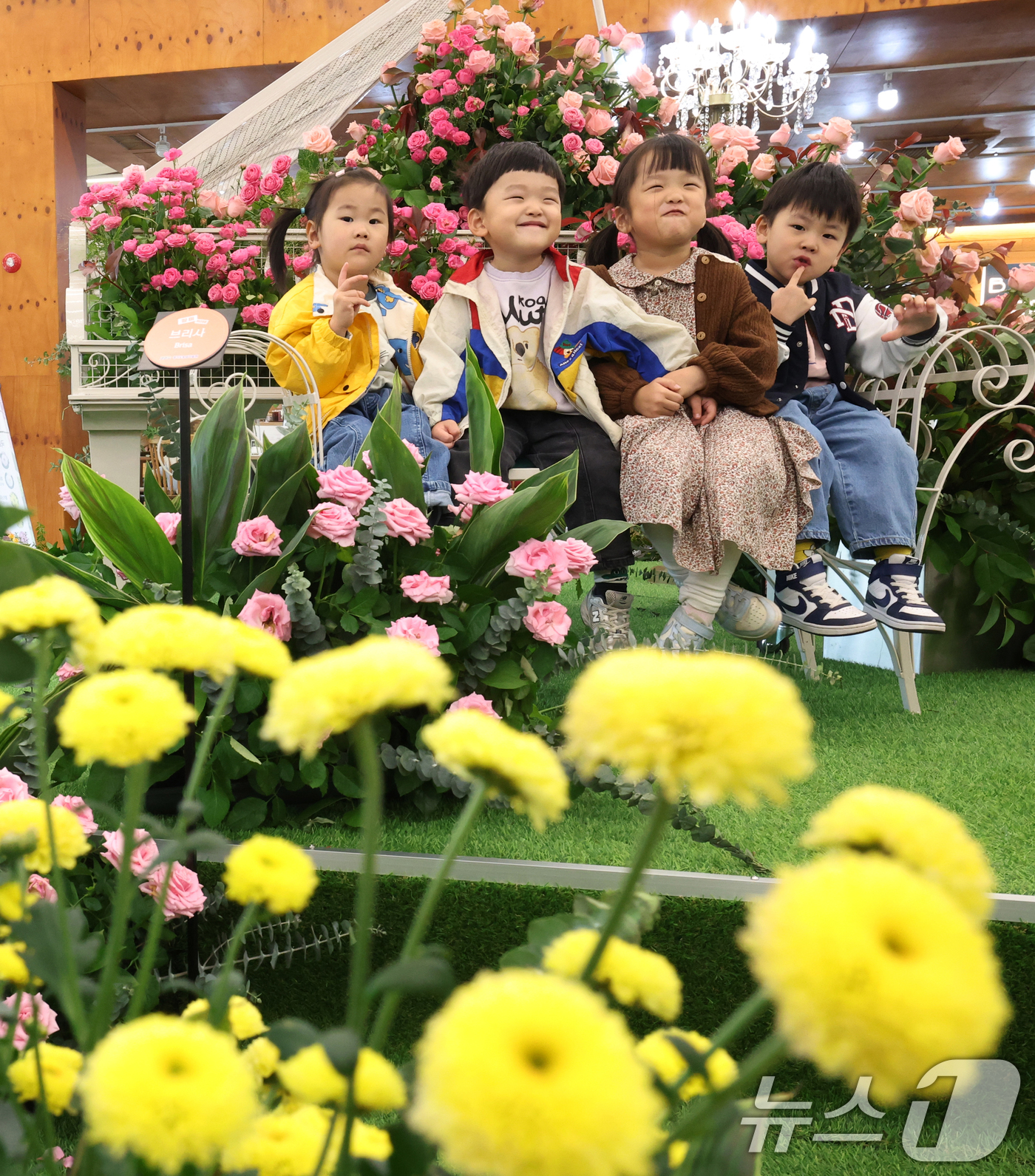 (수원=뉴스1) 김영운 기자 = 26일 경기 수원시 영통구 영흥수목원에서 열린 ‘제12회 장미·국화 생생전시회’에서 아이들이 다양한 국화와 장미를 보며 가을 정취를 느끼고 있다.이 …