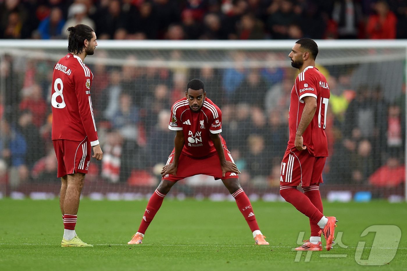 본문 이미지 - 디펜딩 챔피언 리버풀이 4연패에 빠졌다. ⓒ AFP=뉴스1