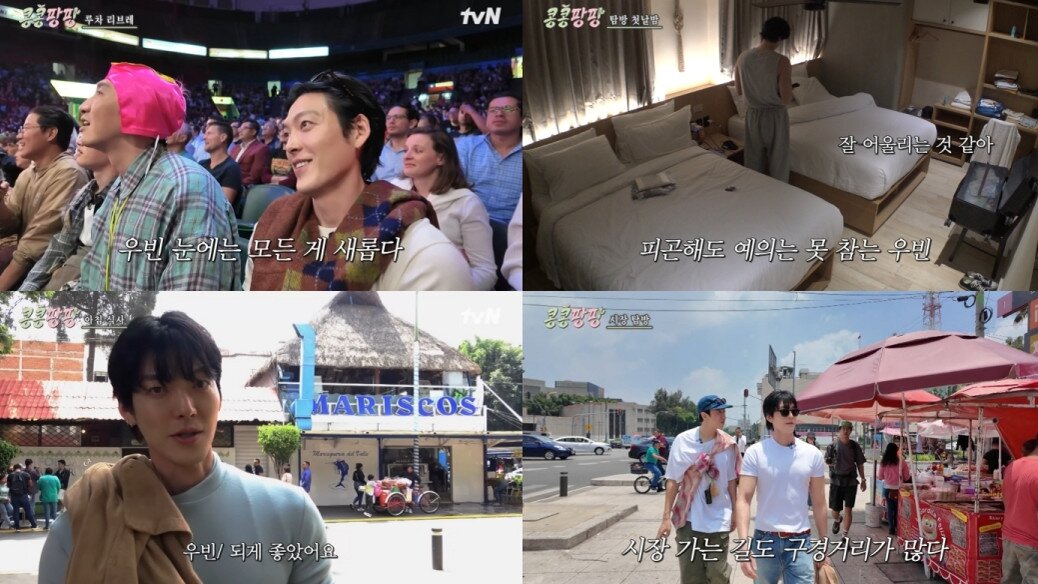 본문 이미지 - tvN