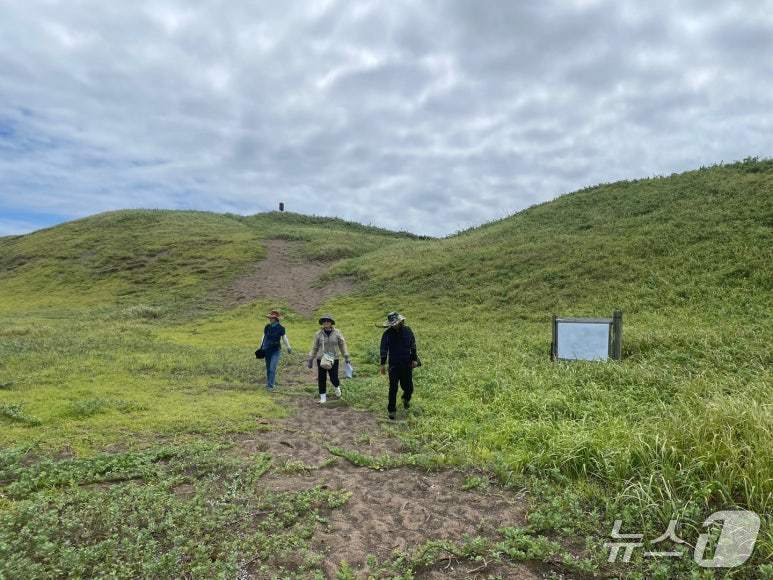 본문 이미지 -  신양 해안사구.(제주자연의 벗 제공. 재판매 및 DB 금지)/뉴스1 