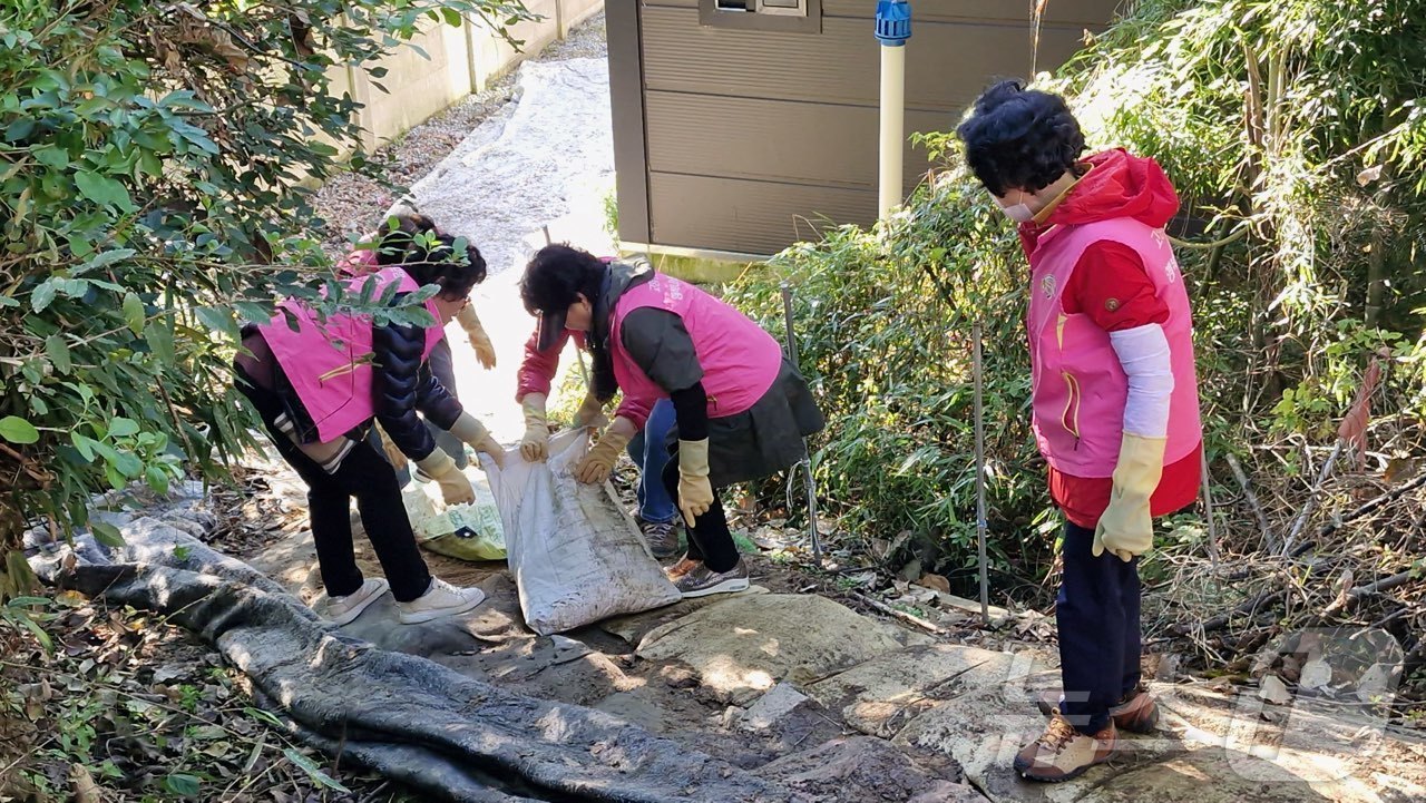 (대전=뉴스1) 이동원 기자 = 농협대전본부(본부장 김영훈)는 북대전농협(조합장 심청용), (사)고향주부모임대전시지회(회장 라은랑)와 함께 27일 유성구 금탄동에 거주하는 취약농가 …