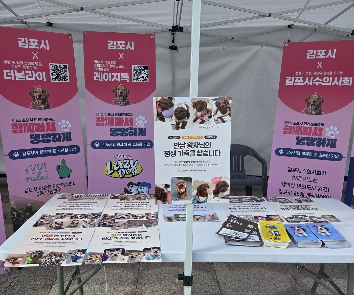 본문 이미지 - 김포시수의사회 부스에서 입양동물 홍보하는 모습(김포시수의사회 제공) ⓒ 뉴스1