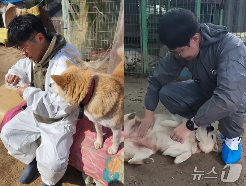 본문 이미지 - 한국수의심장협회에서 보호소 봉사를 하고 있다(협회 제공). ⓒ 뉴스1
