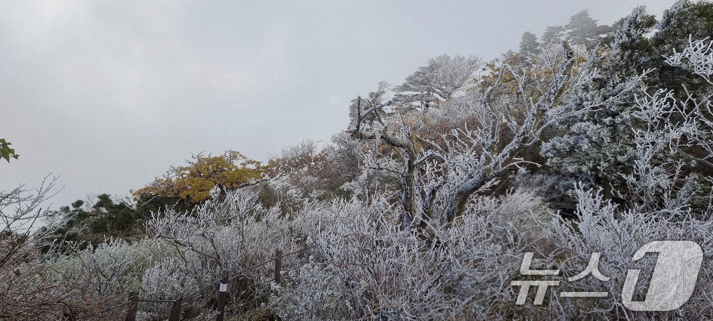 본문 이미지 - 국립공원공단 덕유산국립공원사무소는 향적봉에 금년도 첫 상고대가 관측됐다고 27일 밝혔다. (덕유산국립공원사무소 제공. 재판매 및 DB 금지) 2025.10.27/뉴스1