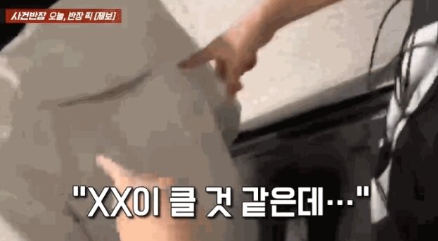 본문 이미지 - (JTBC '사건반장' 영상 갈무리)