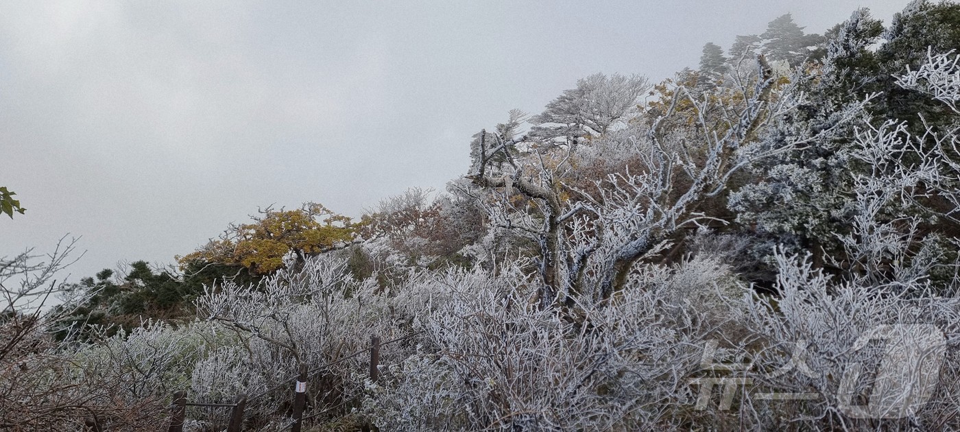 (무주=뉴스1) 김동규 기자 = 28일 아침 06시 40분 전북 무주군 덕유산 설천봉은 기온이 영하 5.3도까지 떨어지고, 94%의 습도가 형성되면서 덕유산 향적봉(1614m), …