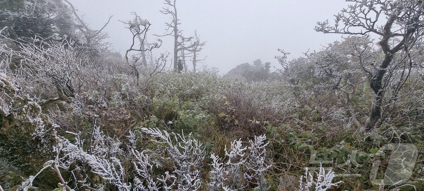 (무주=뉴스1) 김동규 기자 = 28일 전북 무주군 덕유산 설천봉의 기온이 영하 5.3도까지 떨어지고 향적봉(1614m), 대피소 등 주능선에 상고대가 생성됐다.(덕유산사무소 제공 …