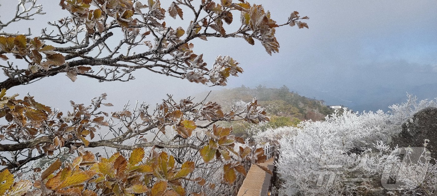 (무주=뉴스1) 김동규 기자 = 28일 아침 06시 40분 전북 무주군 덕유산 설천봉은 기온이 영하 5.3도까지 떨어지고, 94%의 습도가 형성되면서 덕유산 향적봉 대피소 등 주능 …