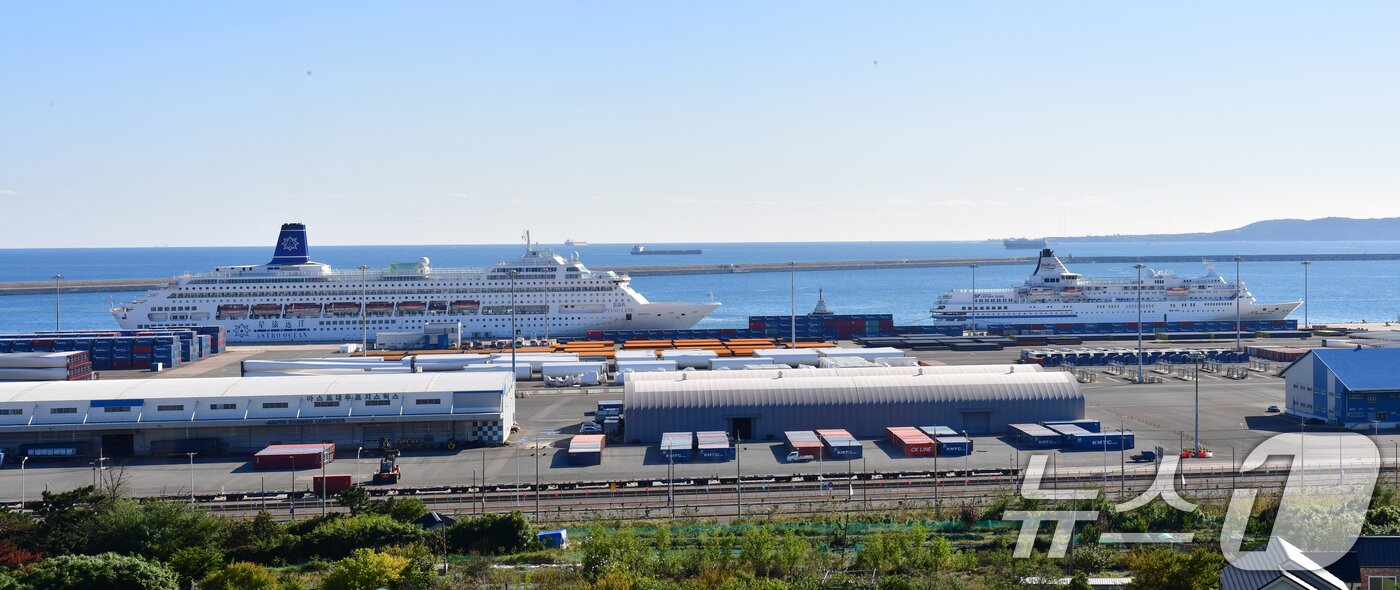 본문 이미지 - APEC 기간 글로벌 CEO들의 숙소로 사용될 &#39;피아노랜드호&#39;&#40;왼쪽&#41;와 &#39;이스턴비너스호&#39;가 28일 경북 포항시 북구 영일만항에 입항했다. 두척의 배는 11월1일까지 정박할 예정이다. 2025.10.28/뉴스1 ⓒ News1 최창호 기자