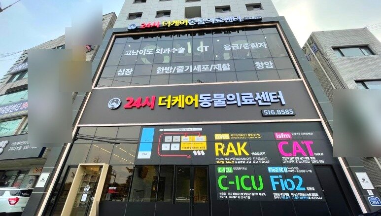 본문 이미지 - 더케어동물의료센터 외부 전경(병원 제공) ⓒ 뉴스1