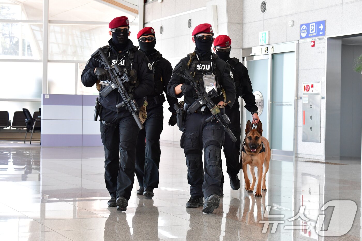 본문 이미지 - 경찰특공대가 28일 경북 포항경주공항에서 탐지견을 투입, 주변 경비를 강화하고 있다. 2025.10.28/뉴스1 ⓒ News1 최창호 기자