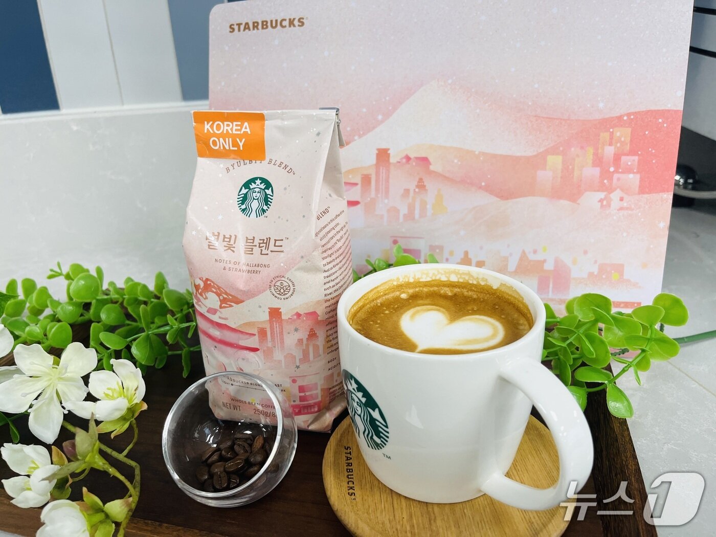 본문 이미지 - 스타벅스 코리아가 단독 출시한 원두 별빛 블렌드 2025.10.28/ 뉴스1  박혜연 기자 ⓒ 뉴스1