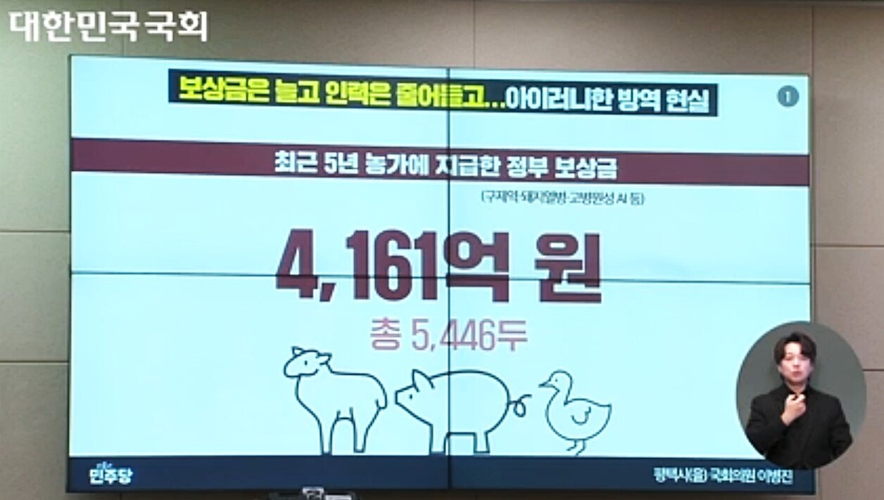 본문 이미지 - 28일 열린 국회 농림축산식품해양수산위원회 종합감사에서 이병진 더불어민주당 의원이 가축 전염병 보상금은 늘고 있지만 수의직 공무원이 줄어드는 현실에 대해 지적했다(국회 영상회의록시스템 갈무리). ⓒ 뉴스1