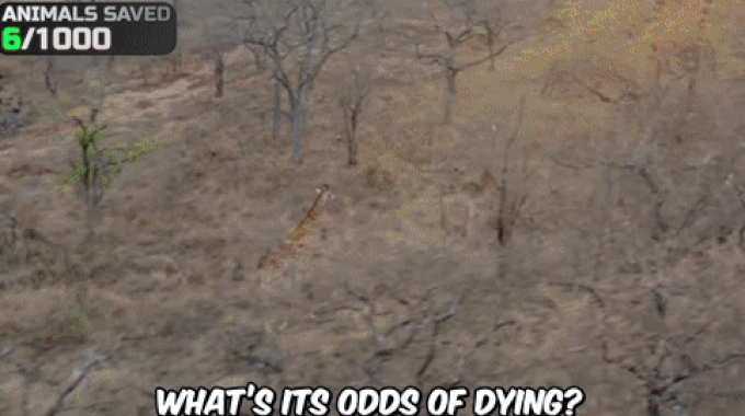 引用:Youtube@MrBeast