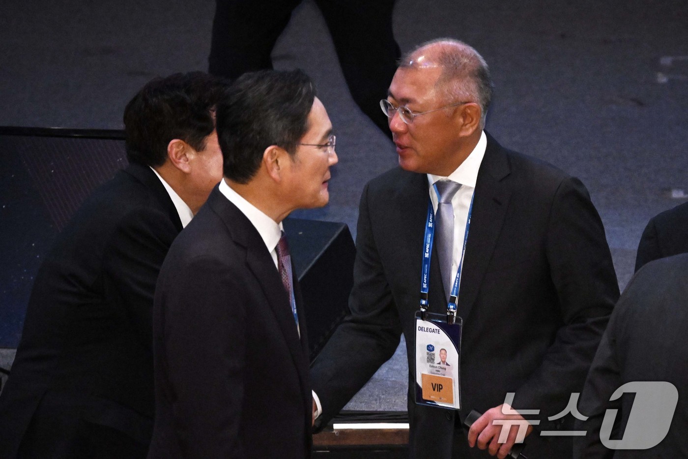 (경주=뉴스1) 김민지 기자 = 이재용 삼성전자 회장과 정의선 현대자동차그룹 회장이 29일 경북 경주예술의전당에서 열린  아시아태평양경제협력체(APEC) 정상회의 최고경영자(CEO …