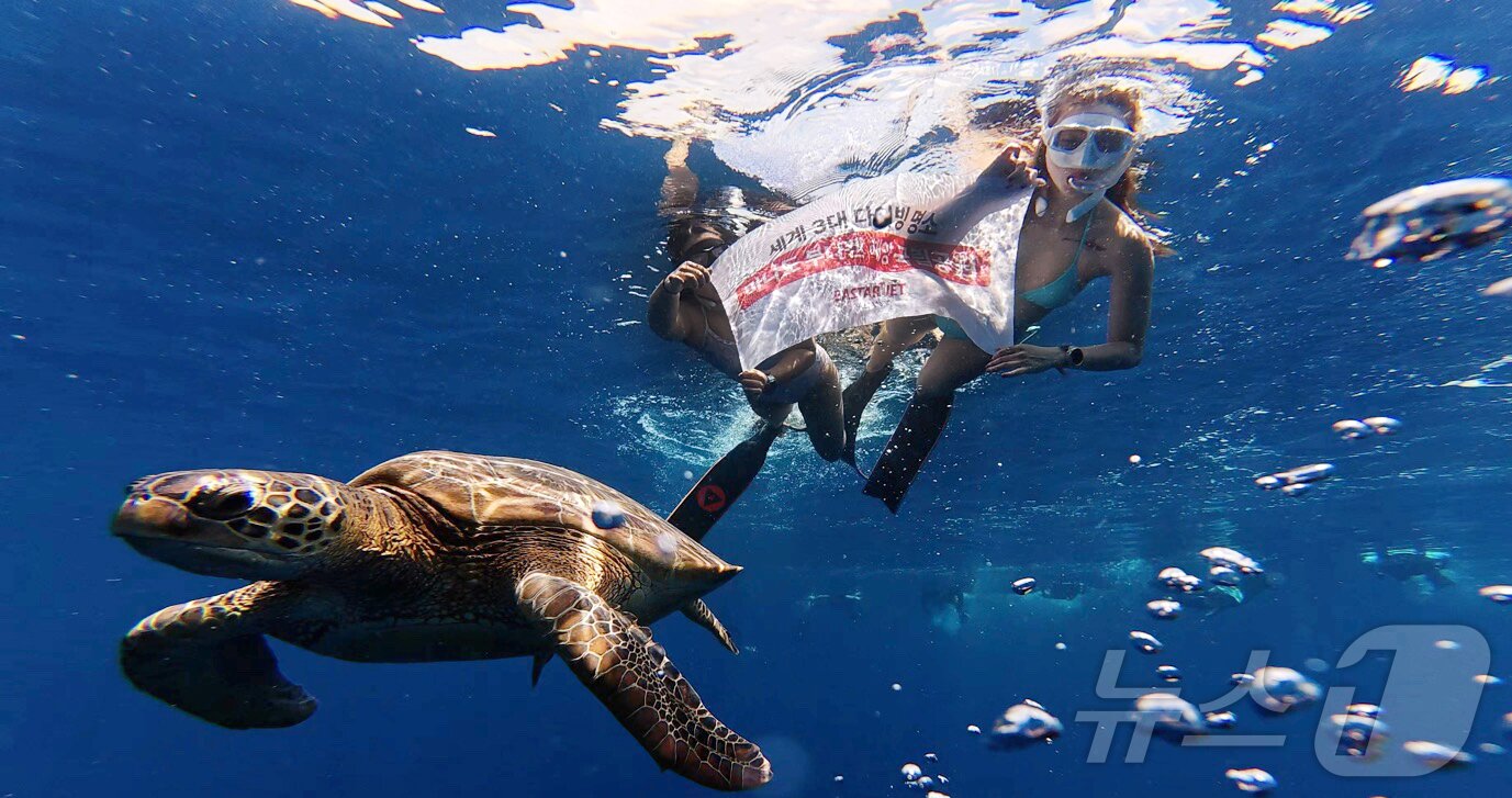 본문 이미지 - 29일&#40;현지시간&#41; 인도네시아 마나도 부나켄 해양국립공원에서 이스타항공의 인천-마나도 첫 편을 통해 도착한 관광객들이 프리다이빙을 하고 있다.  2025.10.29/뉴스1 ⓒ News1 안은나 기자