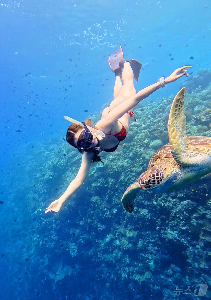 본문 이미지 - 29일&#40;현지시간&#41; 인도네시아 마나도 부나켄 해양국립공원에서 이스타항공의 인천-마나도 첫 편을 통해 도착한 관광객들이 프리다이빙을 하고 있다. 2025.10.29/뉴스1 ⓒ News1 안은나 기자