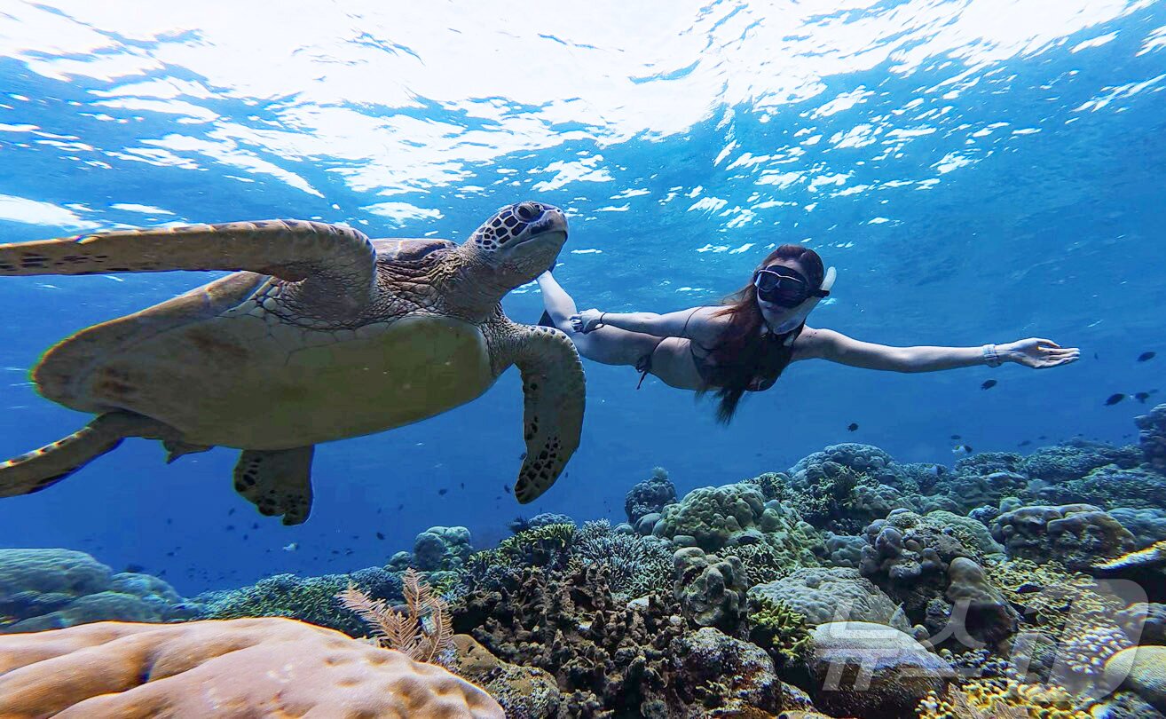 본문 이미지 - 29일&#40;현지시간&#41; 인도네시아 마나도 부나켄 해양국립공원에서 이스타항공의 인천-마나도 첫 편을 통해 도착한 관광객들이 프리다이빙을 하고 있다. 2025.10.29/뉴스1 ⓒ News1 안은나 기자