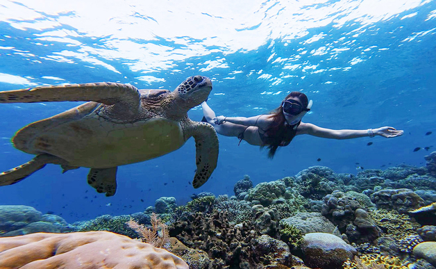 [뉴스1 PICK]'지구상 마지막 낙원' 인도네시아 마나도 명소는?