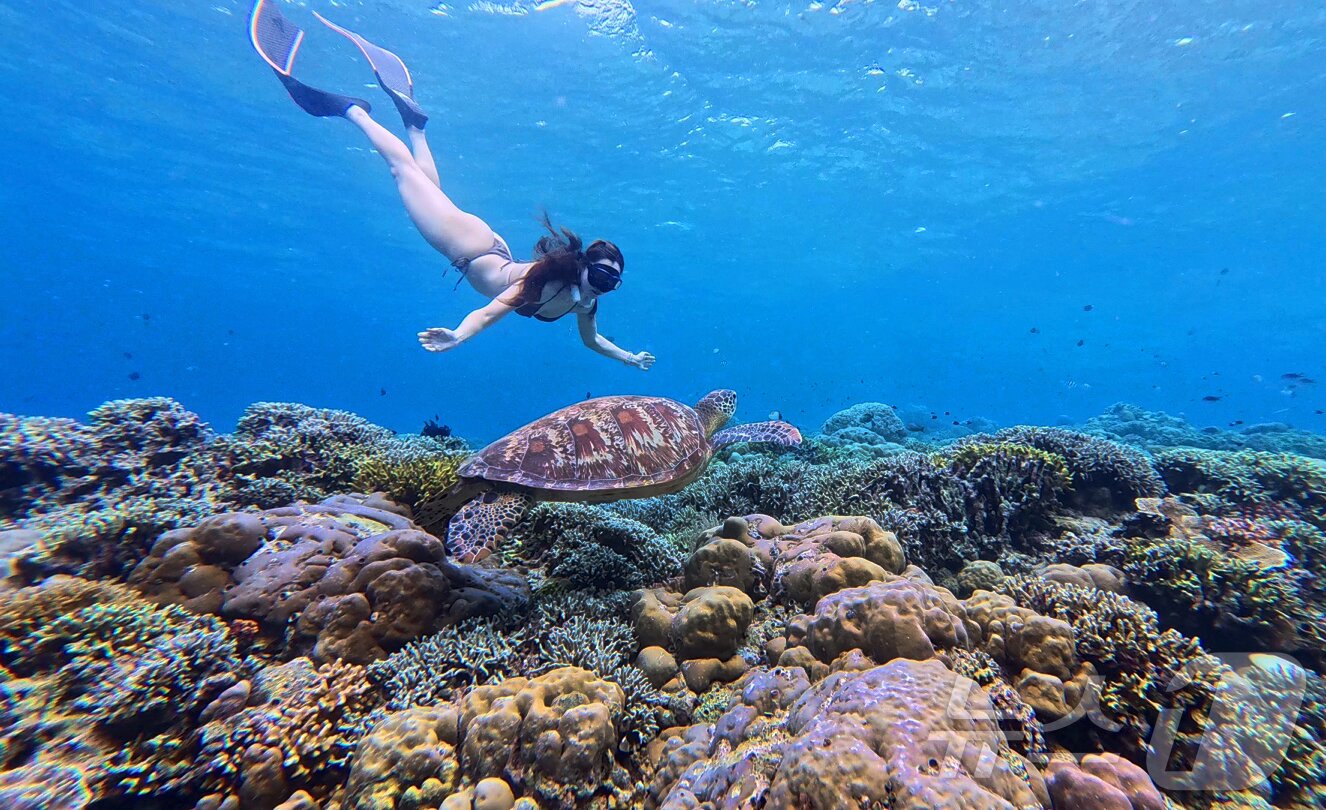본문 이미지 - 29일&#40;현지시간&#41; 인도네시아 마나도 부나켄 해양국립공원에서 이스타항공의 인천-마나도 첫 편을 통해 도착한 관광객들이 프리다이빙을 하고 있다.  2025.10.29/뉴스1 ⓒ News1 안은나 기자
