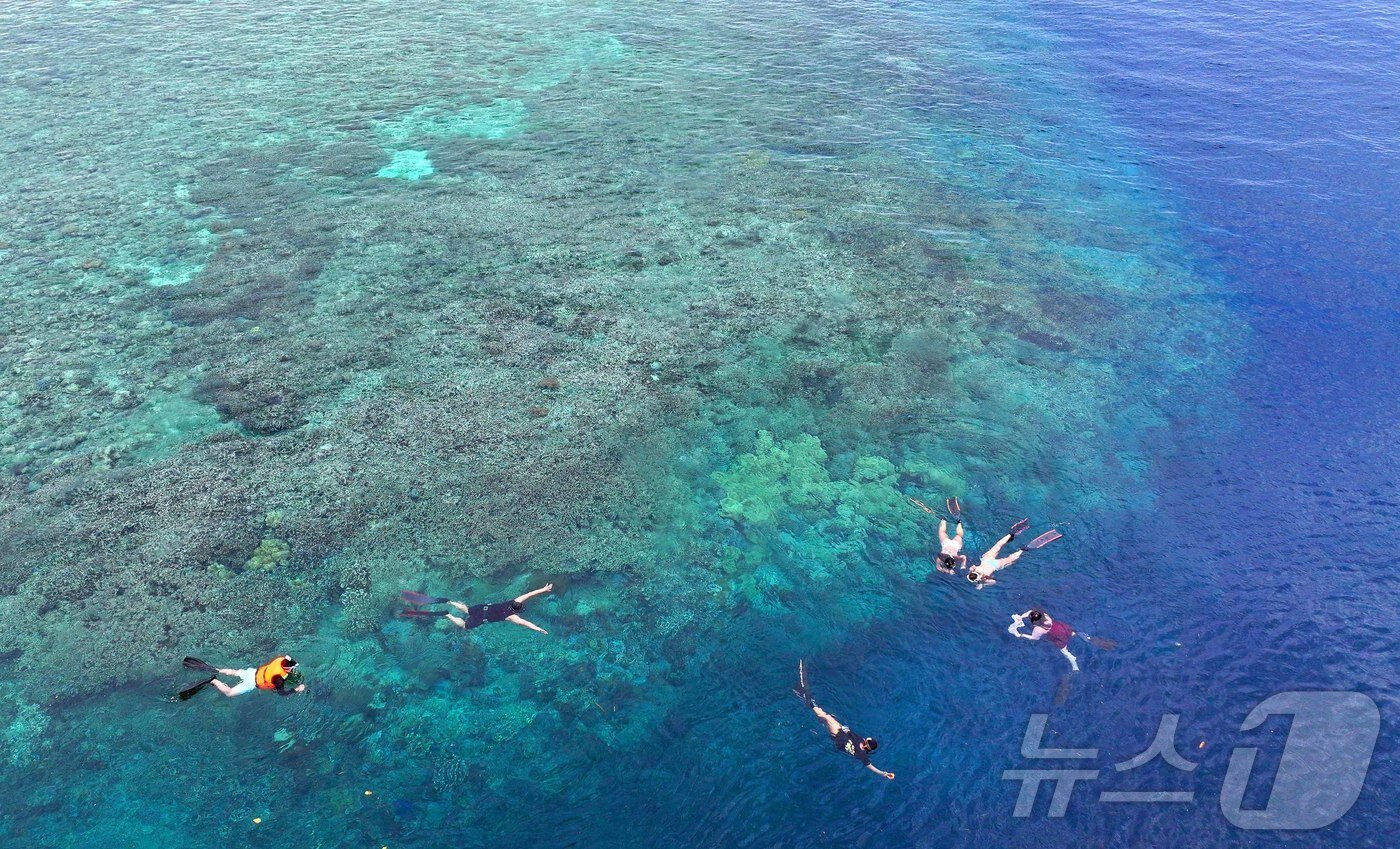 본문 이미지 - 29일&#40;현지시간&#41; 인도네시아 마나도 부나켄 해양국립공원에서 이스타항공의 인천-마나도 첫 편을 통해 도착한 관광객들이 스노쿨링과 다이빙을 즐기고 있다. 2025.10.29/뉴스1 ⓒ News1 안은나 기자