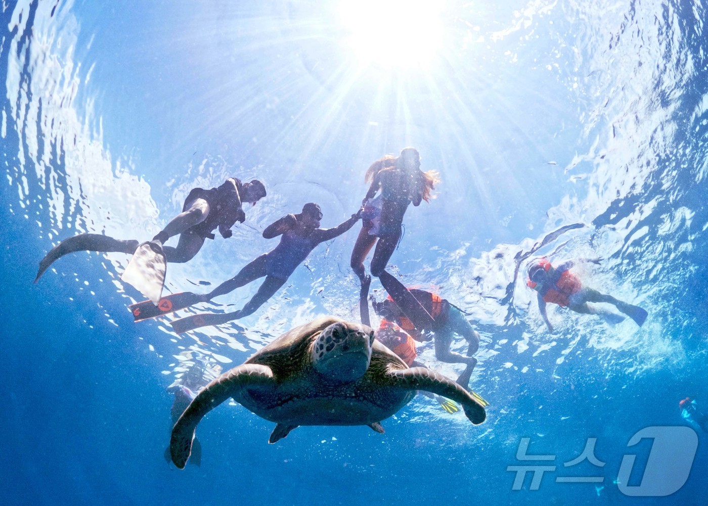 (마나도=뉴스1) 안은나 기자 = 29일(현지시간) 인도네시아 마나도 부나켄 해양국립공원에서 이스타항공의 인천-마나도 첫 편을 통해 도착한 관광객들이 스노쿨링과 다이빙을 즐기고 있 …