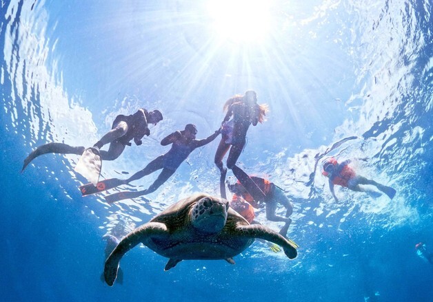 '세계 다이빙 3대 성지' 마나도 부나켄 국립공원