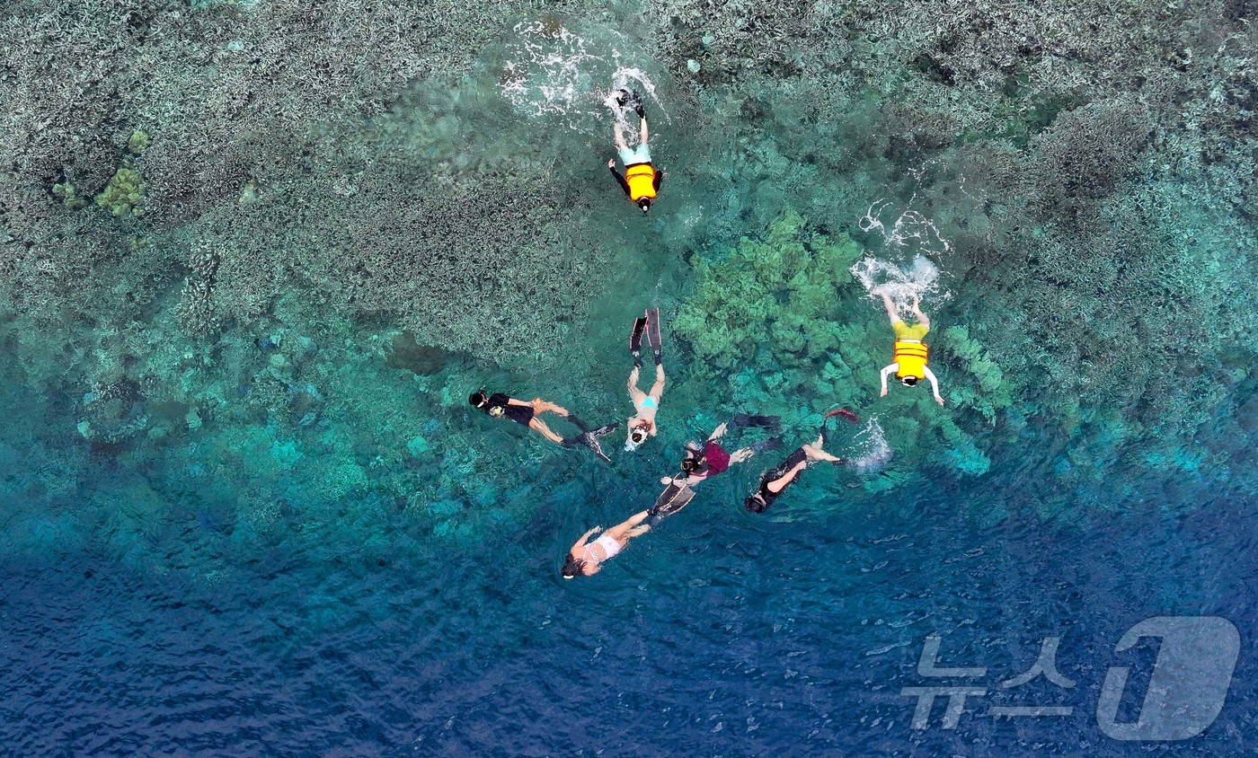 (마나도=뉴스1) 안은나 기자 = 29일(현지시간) 인도네시아 마나도 부나켄 해양국립공원에서 이스타항공의 인천-마나도 첫 편을 통해 도착한 관광객들이 스노쿨링과 다이빙을 즐기고 있 …