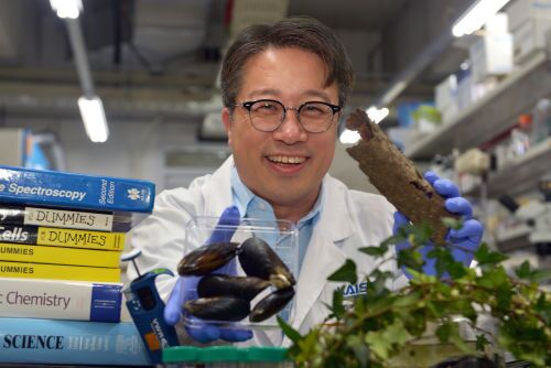 본문 이미지 - 사진=폴리페놀팩토리 제공