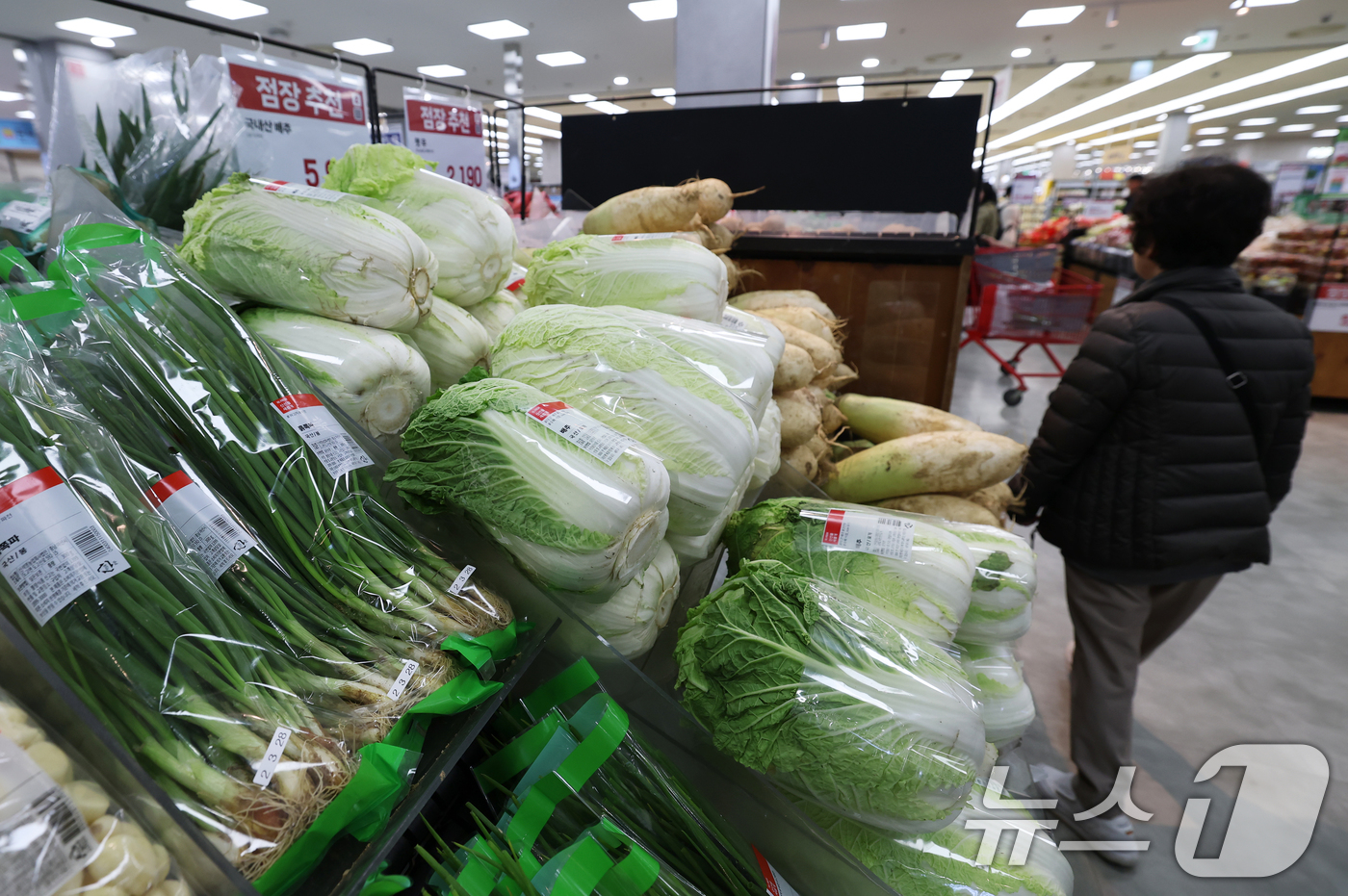 (서울=뉴스1) 오대일 기자 = 올해 김장철에는 배추와 무 가격이 안정되면서 김장 비용이 지난해보다 약 10% 줄어든 것으로 나타났다.한국물가협회가 전국 17개 시·도의 주요 김장 …