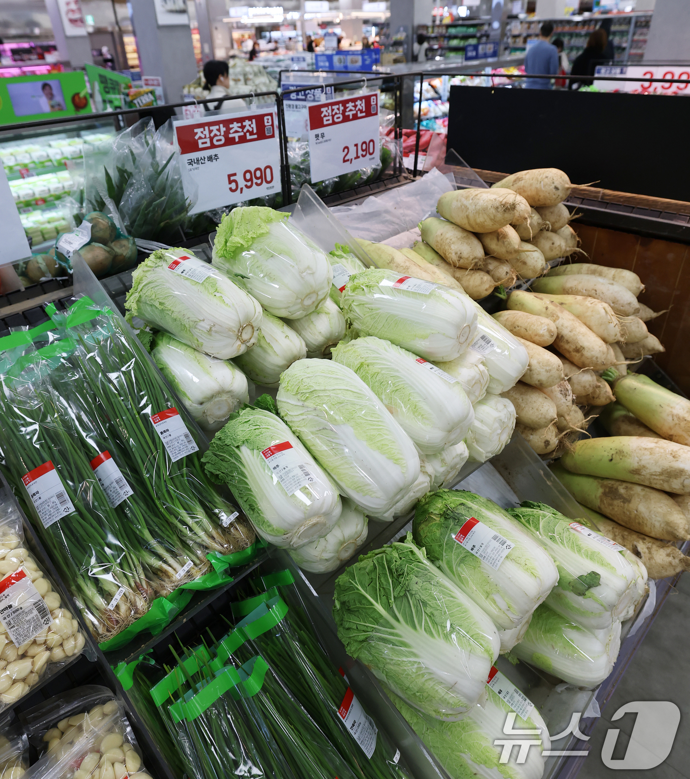 (서울=뉴스1) 오대일 기자 = 올해 김장철에는 배추와 무 가격이 안정되면서 김장 비용이 지난해보다 약 10% 줄어든 것으로 나타났다.한국물가협회가 전국 17개 시·도의 주요 김장 …