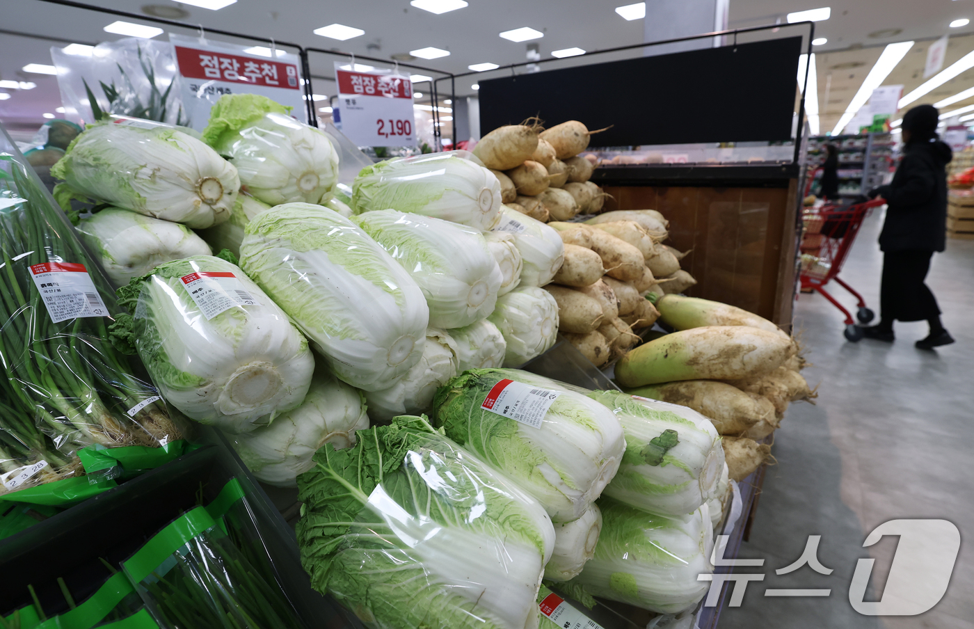 (서울=뉴스1) 오대일 기자 = 올해 김장철에는 배추와 무 가격이 안정되면서 김장 비용이 지난해보다 약 10% 줄어든 것으로 나타났다.한국물가협회가 전국 17개 시·도의 주요 김장 …