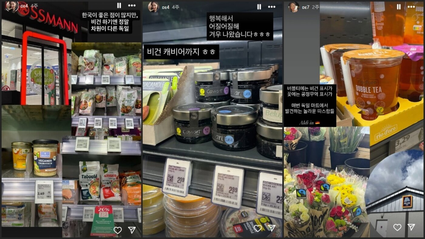 본문 이미지 - 독일 여행 중 조민주 작가가 남긴 인스타그램 스토리 갈무리. 독일 마트 등에서 판매되는 각종 비건 식품들을 꼼꼼히 기록했다. (출처 : minjoo_dodam)