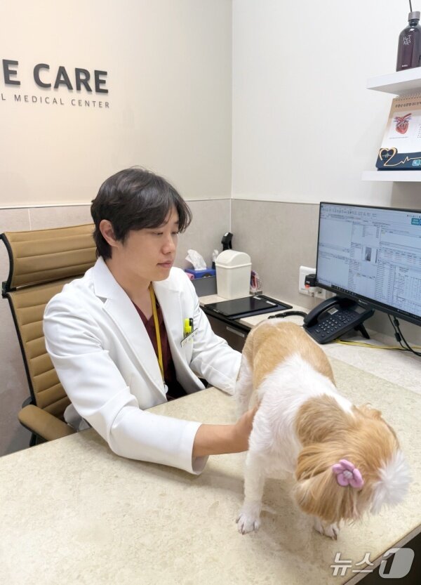 본문 이미지 - 강아지 진료 보는 김예원 원장(더케어동물의료센터 제공) ⓒ 뉴스1