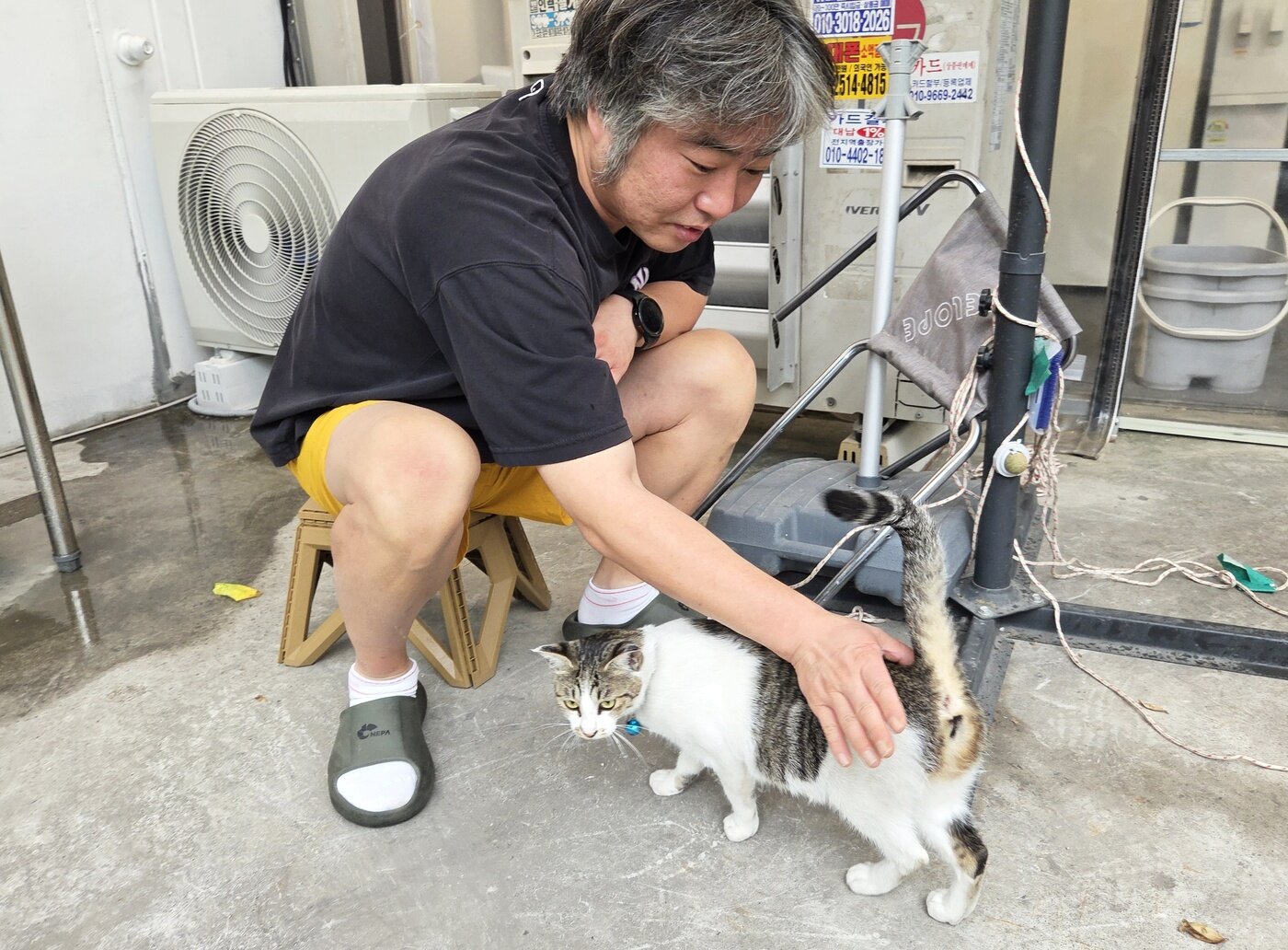 본문 이미지 - 식당 사장 김지훈 씨와 고양이 누룽지 ⓒ 뉴스1