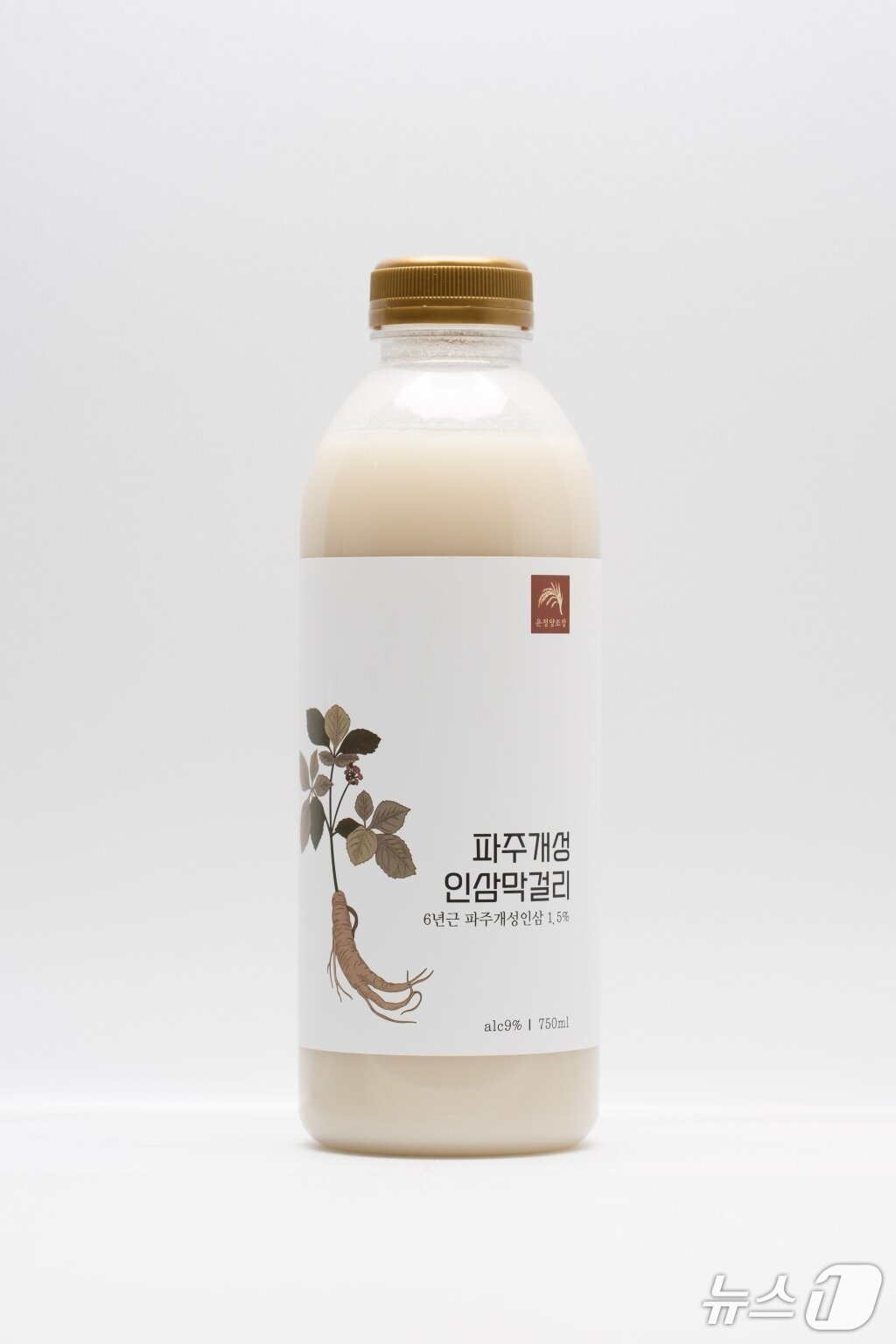 본문 이미지 - 파주 개성인삼막걸리.(경기도 제공. 재판매 및 DB금지)