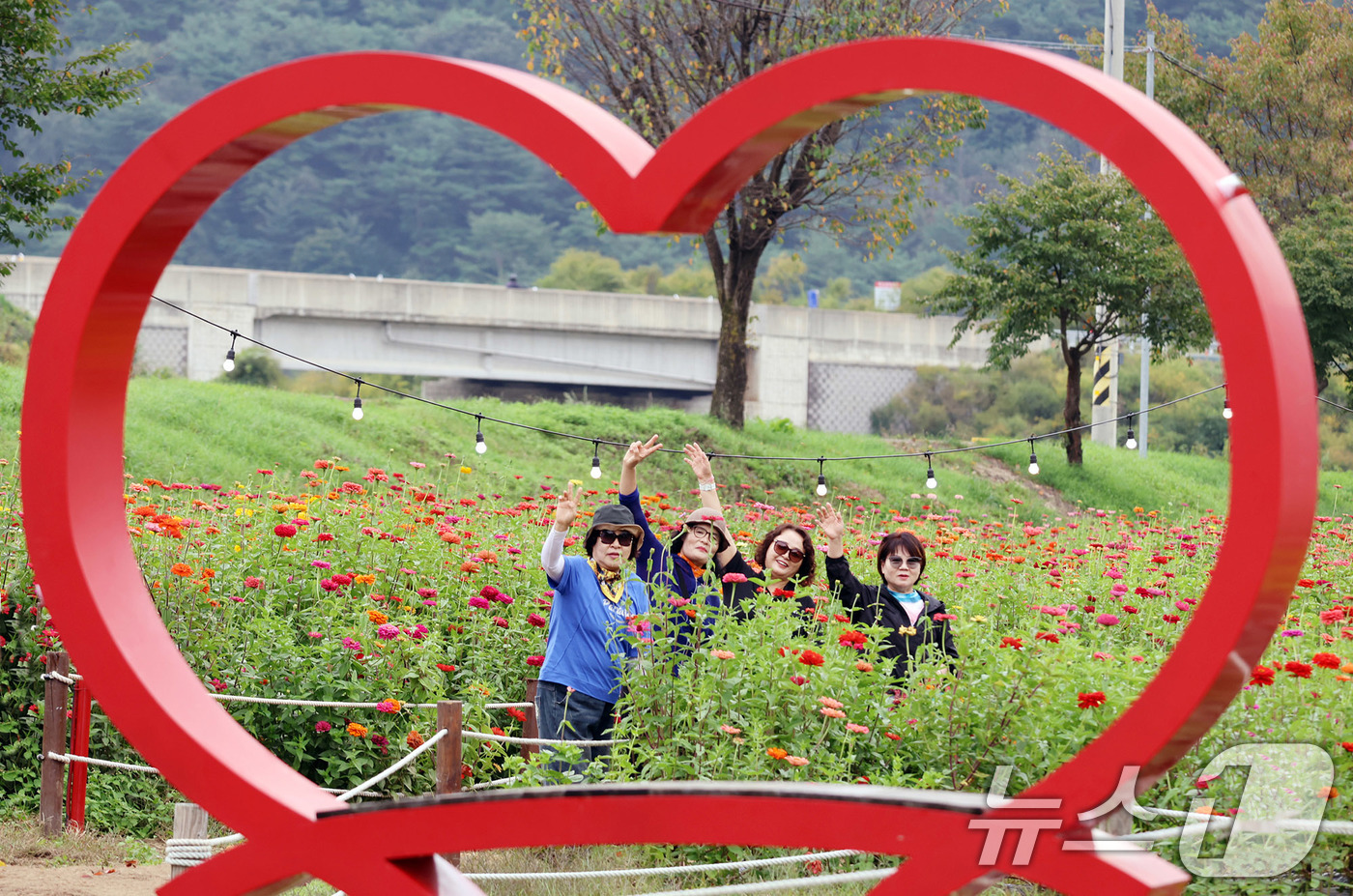 (서울=뉴스1) = 추석 연휴가 시작된 3일 오후 강원 평창군 평창읍 평창강 일원에서 열린 ‘2025 평창 백일홍축제’를 찾은 관람객들이 가을의 정취를 만끽하고 있다.올해 축제는 …