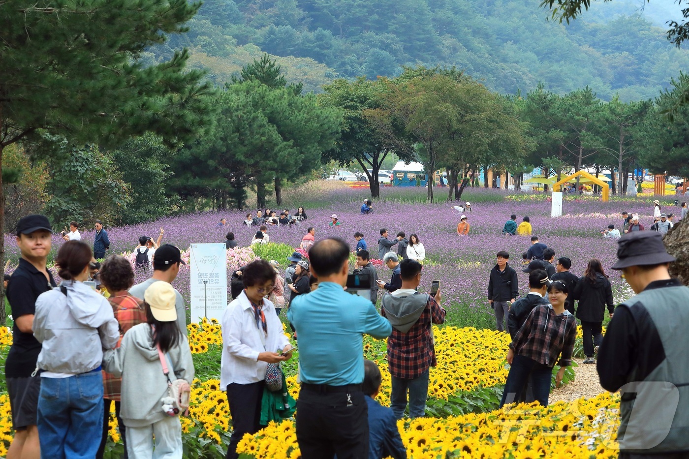 (인제=뉴스1) 이종재 기자 = 추석 연휴 첫날인 3일 강원 인제군 북면 용대리 일원에서 열린 가을꽃 축제장을 찾은 관광객들이 가을 정취를 만끽하고 있다.  지난달 27일 개막한 …