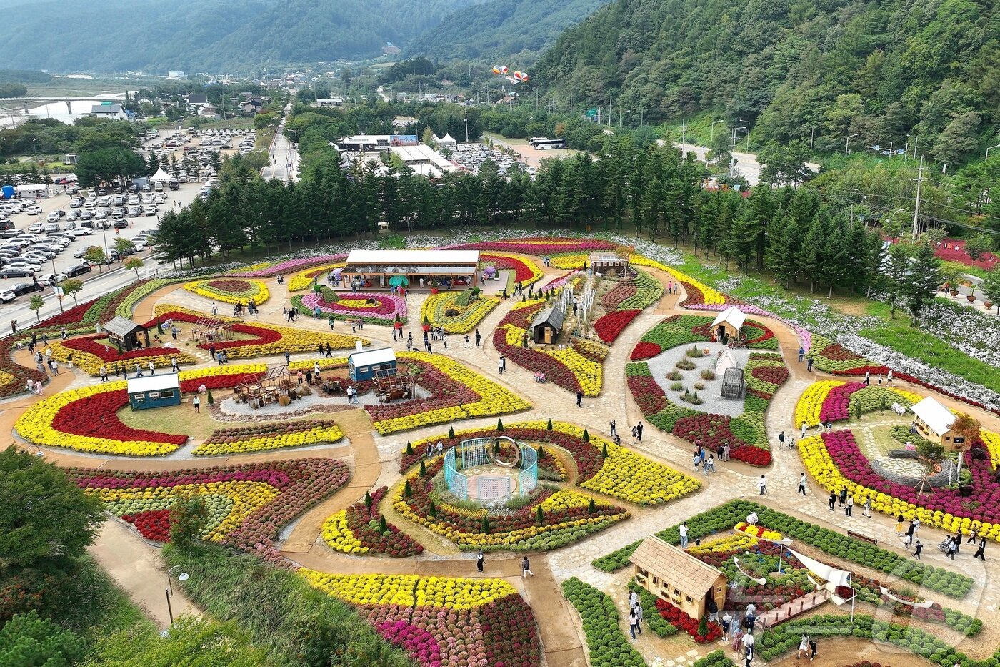 본문 이미지 - 추석 연휴 첫날인 3일 강원 인제군 북면 용대리 일원에서 열린 가을꽃 축제장을 찾은 관광객들이 가을 정취를 만끽하고 있다.&#40;인제군 제공&#41; 2025.10.3/뉴스1 