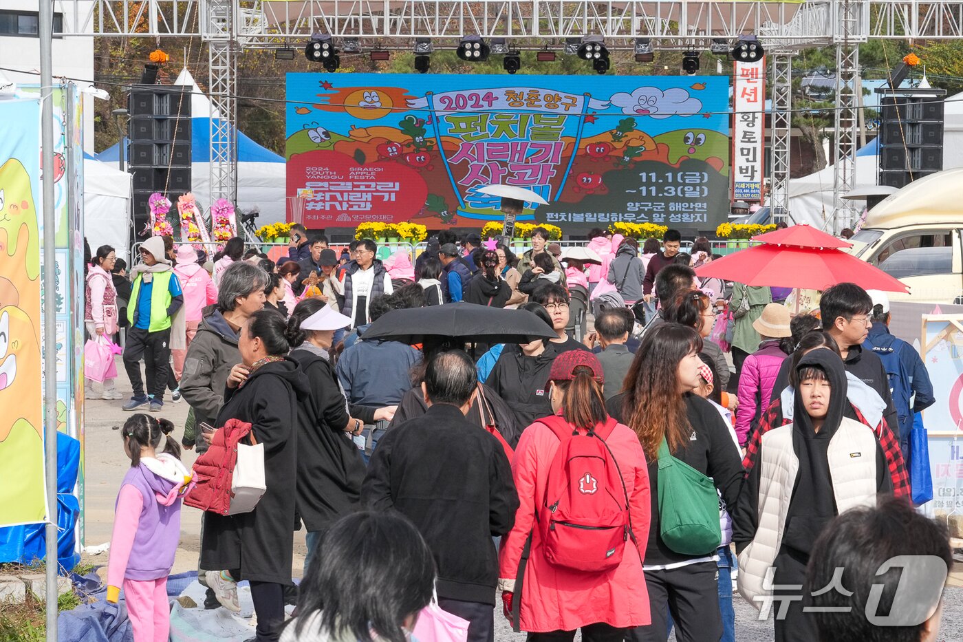 본문 이미지 - 지난해 개최한 청춘양구 펀치볼시래기사과 축제 사진.&#40;양구군 제공. 재판매 및 DB금지&#41;/뉴스1