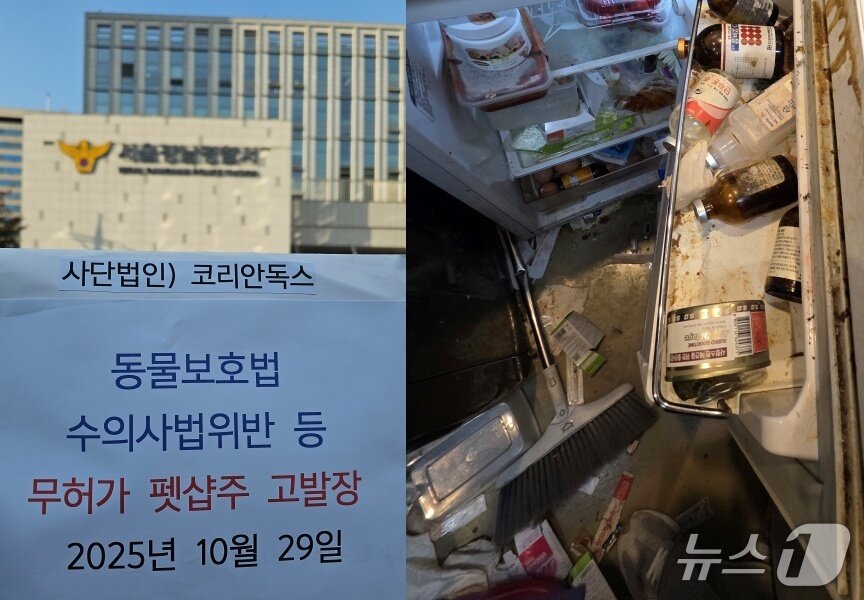 본문 이미지 - 코리안독스는 최근 무허가번식장을 강남경찰서에 고발했다(단체 제공). ⓒ 뉴스1