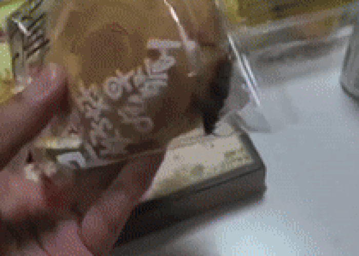 본문 이미지 - (피해자가 공개한 중국의 유명 제과 브랜드 제품에서 발견된 바퀴벌레. 'X' 갈무리)