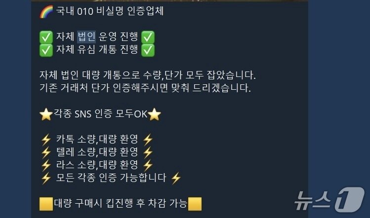 본문 이미지 - 30일 한 텔레그램 채널에 올라온 &#39;자체 법인 운영&#39;을 한다며 각종 계정 판매를 홍보하는 메시지./텔레그램 캡처