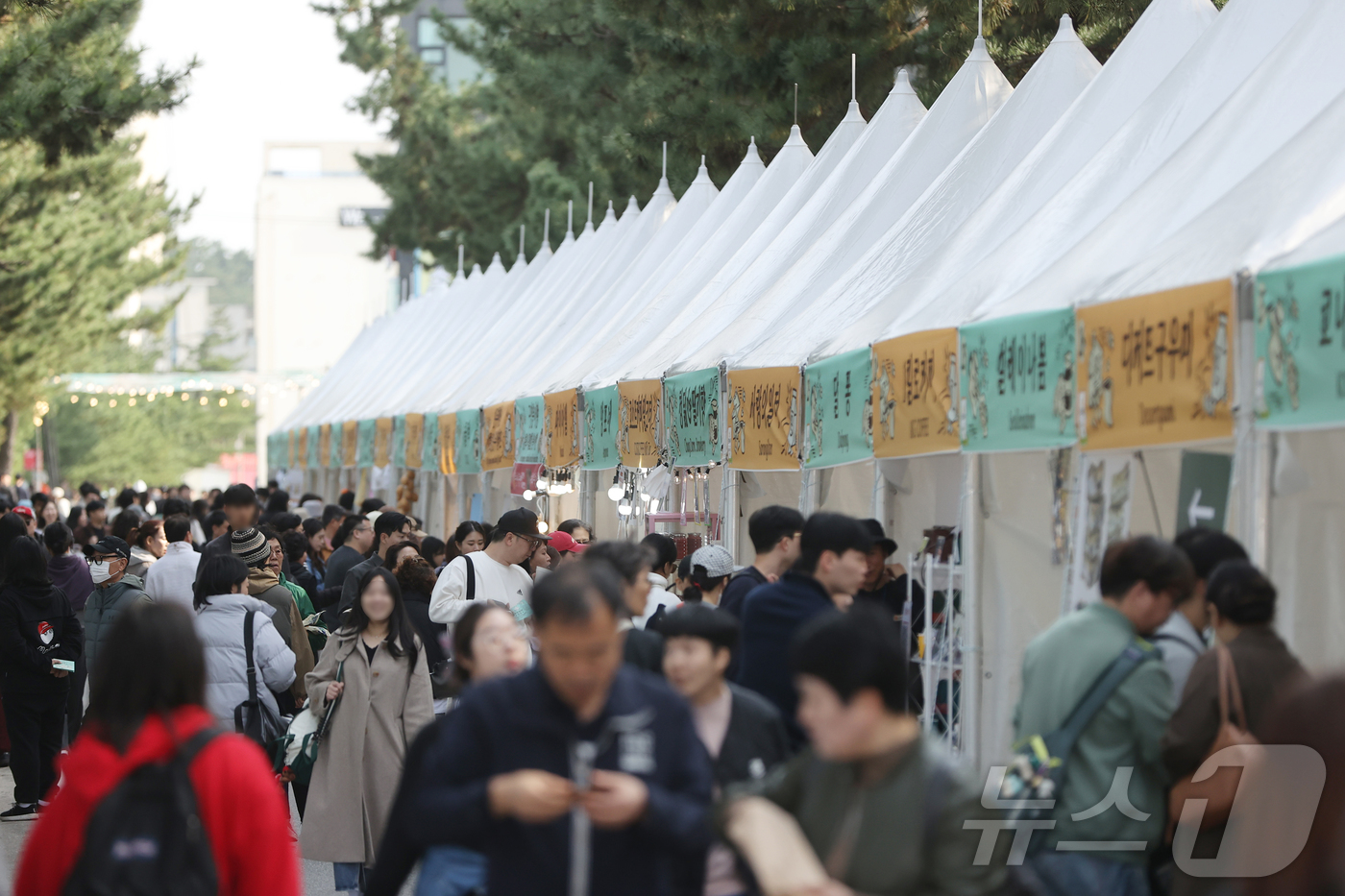(강릉=뉴스1) 윤왕근 기자 = 제17회 강릉커피축제 개막 첫날인 30일 강원 강릉시 커피거리 일대가 방문객들로 북적이고 있다. 이번 축제는 오는 11월 2일까지 나흘 간 이어진다 …