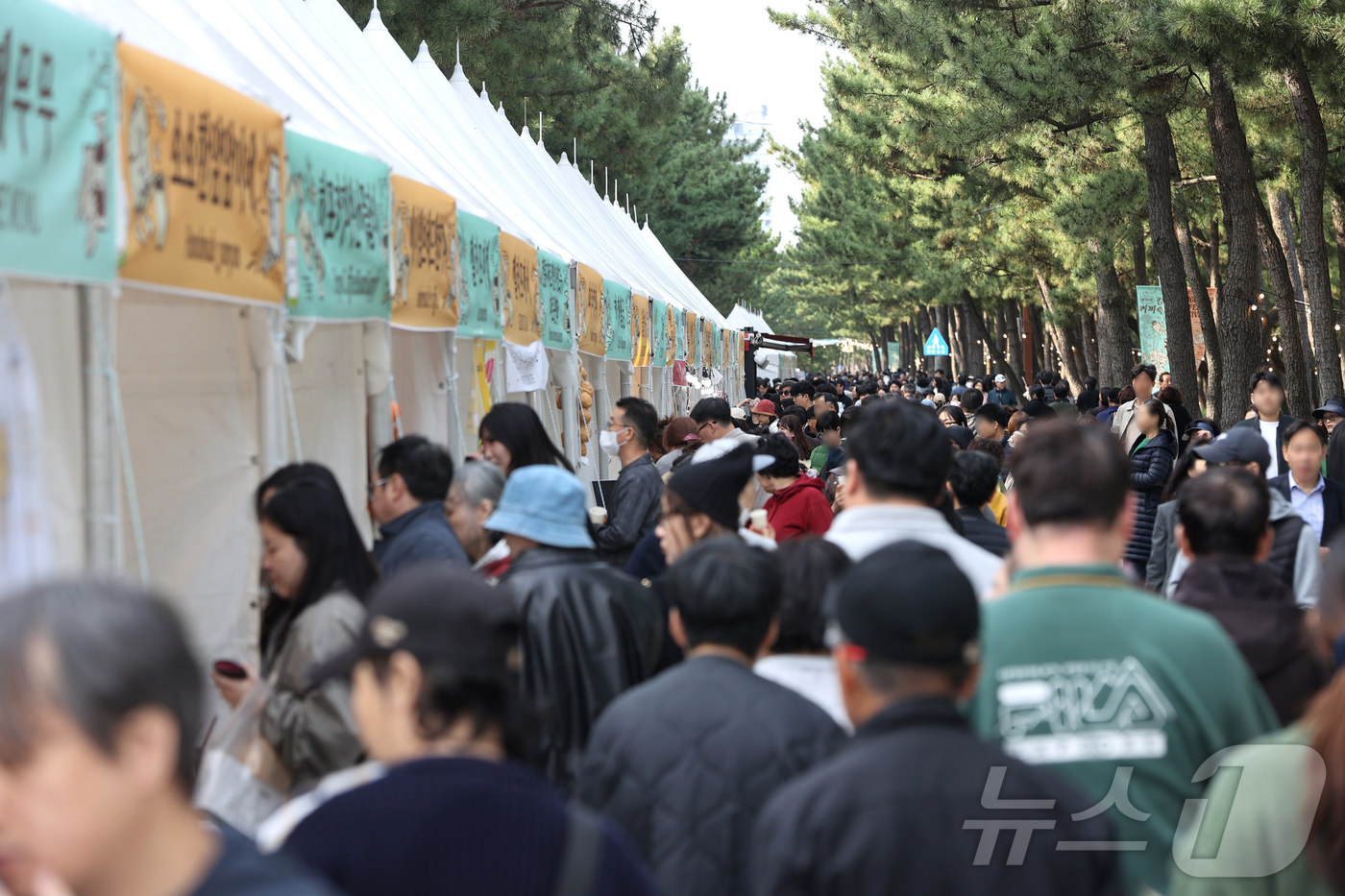 (강릉=뉴스1) 윤왕근 기자 = 제17회 강릉커피축제 개막 첫날인 30일 강원 강릉시 커피거리 일대가 방문객들로 북적이고 있다. 이번 축제는 오는 11월 2일까지 나흘 간 이어진다 …