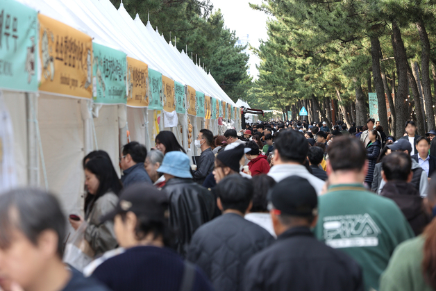 깊어진 가을…북적이는 강릉커피축제