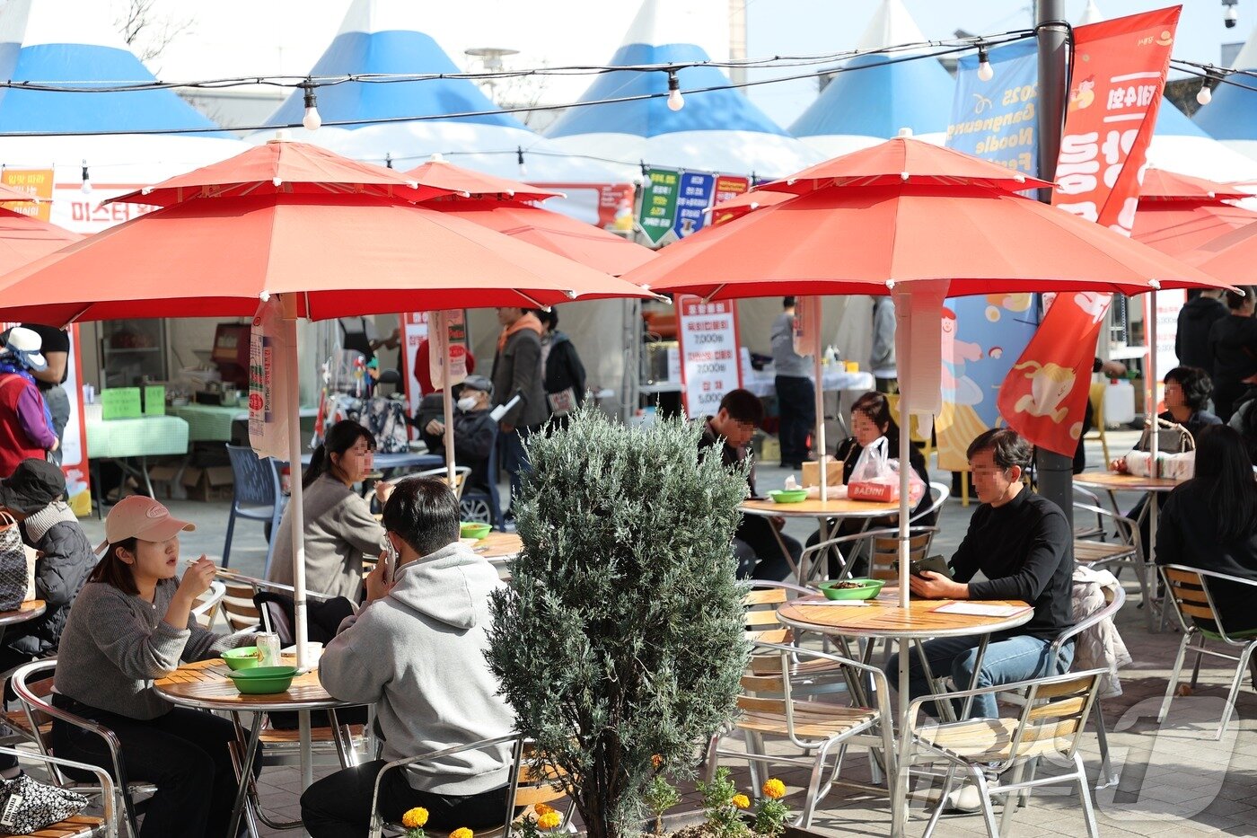 본문 이미지 - 제4회 강릉누들축제가 개막 첫날인 30일 강원 강릉시 월화거리 일대가 방문객들로 북적이고 있다.&#40;강릉시 제공, 재판매 및 DB 금지&#41; 2025.10.30/뉴스1 ⓒ News1 윤왕근 기자